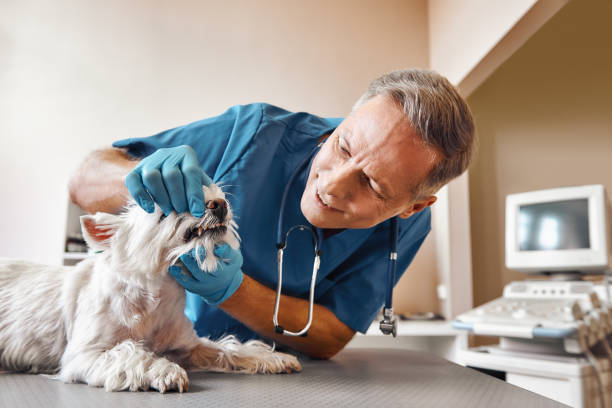 Best Emergency Root Canal Treatment in Aspinwall, PA