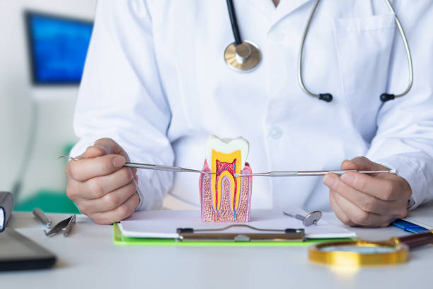 Best Emergency Treatment for Dental Infections or Abscesses in Aspinwall, PA